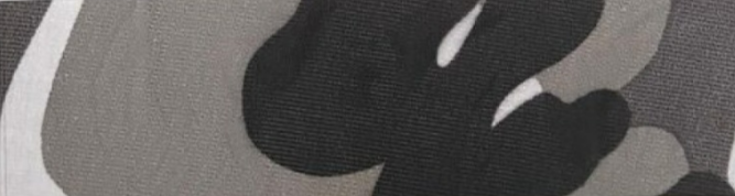 Imagem Paletas de Cores